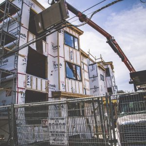 IMG_7877extension copy